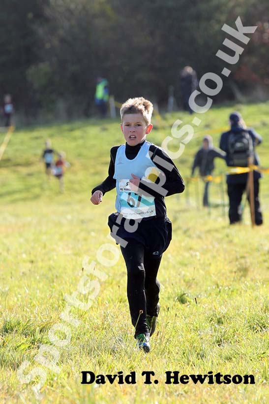 Blue 67, 2012 Start Fitness North East Harrier League, Cramington.